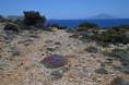 /album/karpathos/dsc-5213uz-ostrov-jpg/