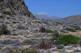 /album/karpathos/dsc-5212uz-tymian-jpg/